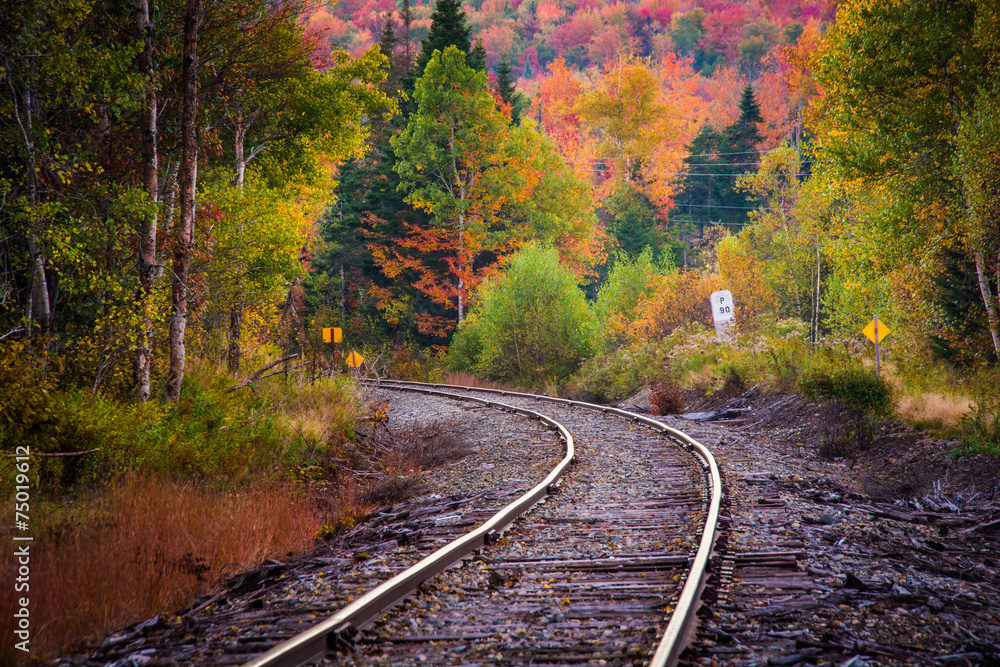 Autumn color along a railroad track in White Mountain National F