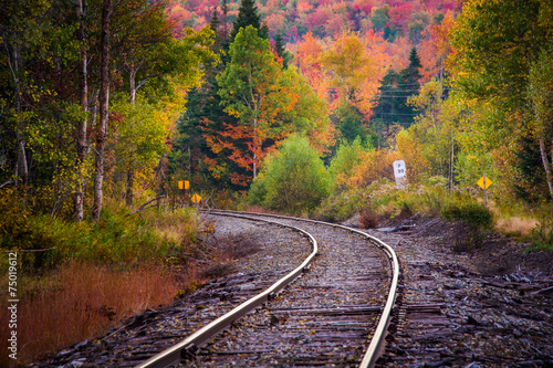 Autumn color along a railroad track in White Mountain National F