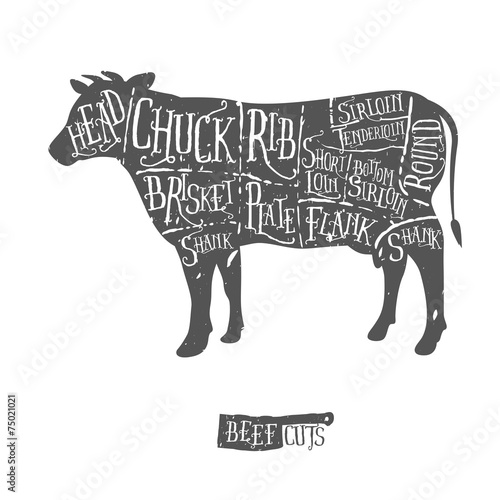 Vintage hand drawn butcher cuts of beef scheme