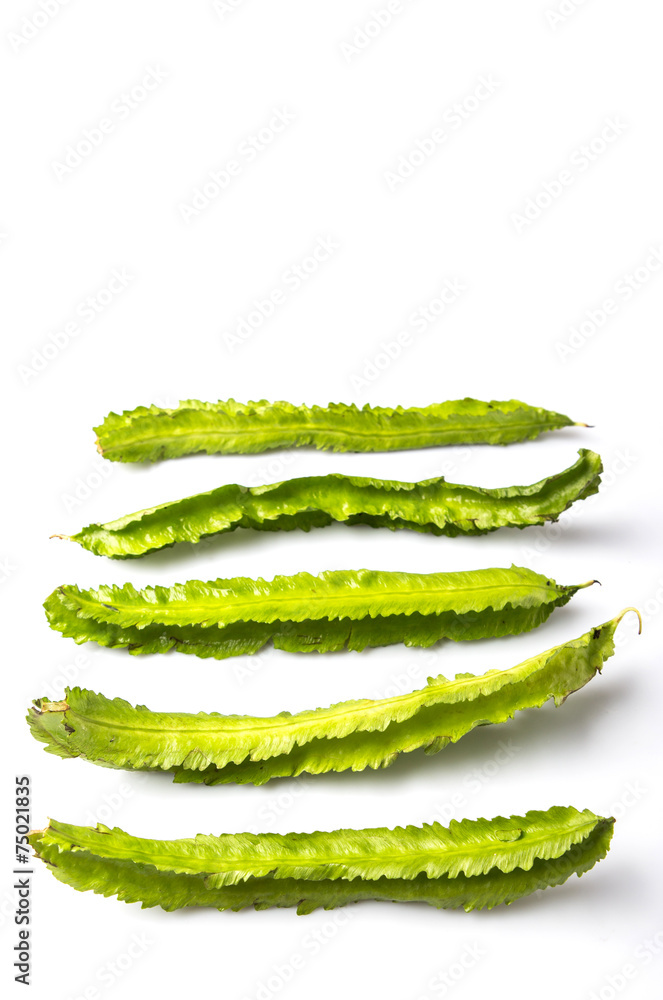 Winged bean vegetable over white background Winged bean vegetable over white background