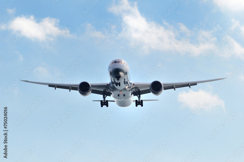旅客機の着陸 旅客機の着陸
