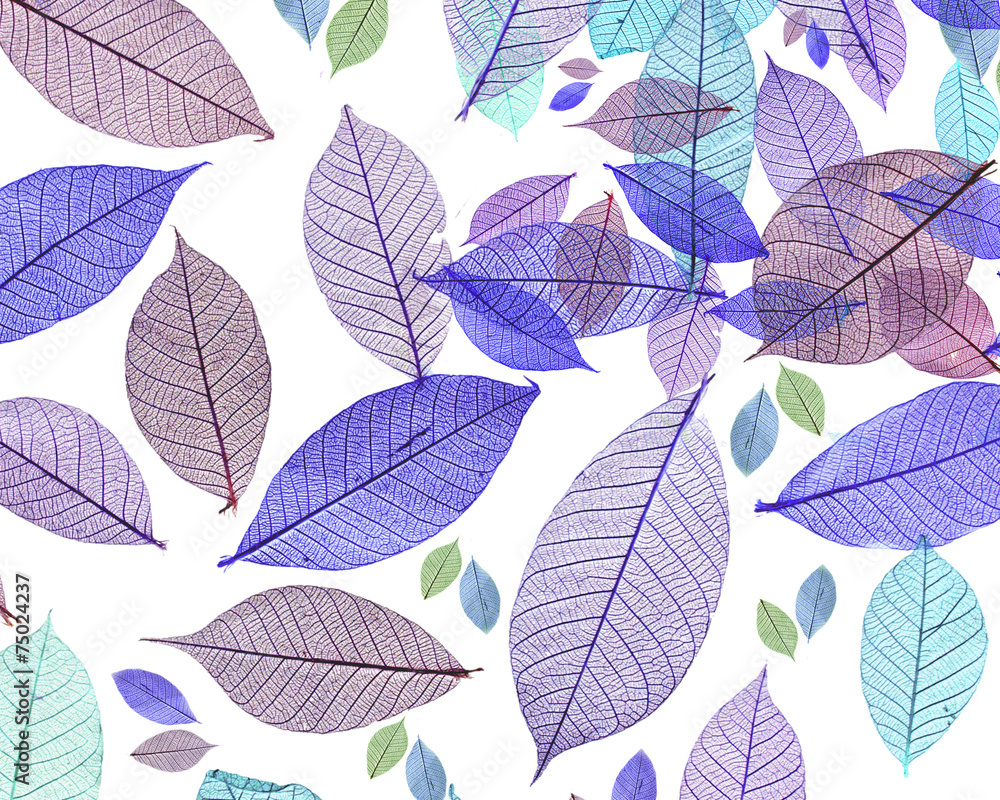 Leaves Leaves