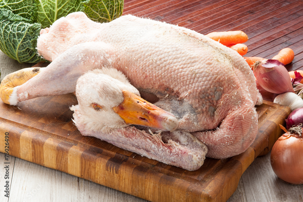 Oca cruda spennata sul tagliere StockFoto Adobe Stock