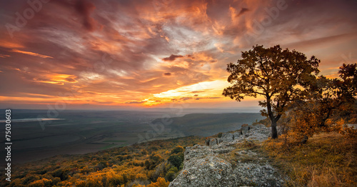 Magnificent view from a hill with an autumn forest at sunset