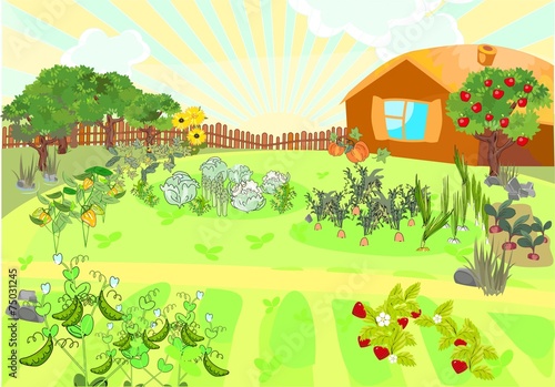 Rural landscape with kitchen-garden