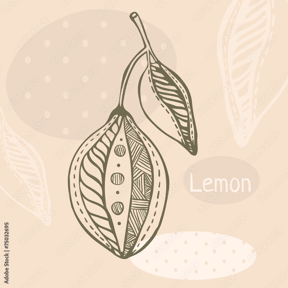 Hand drawn lemon graphic style