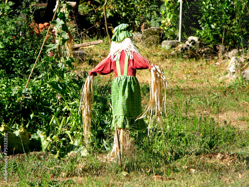 Cuadro en lienzo ESPANTAPAJAROS