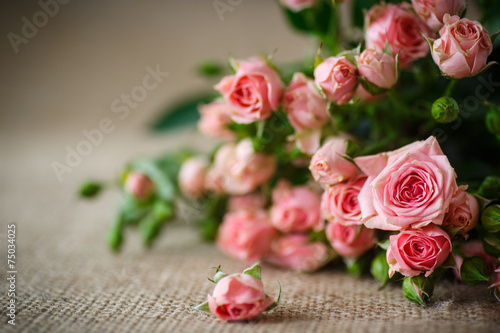pink roses © Peredniankina