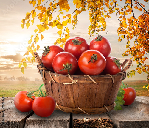 Ripe tomatoes