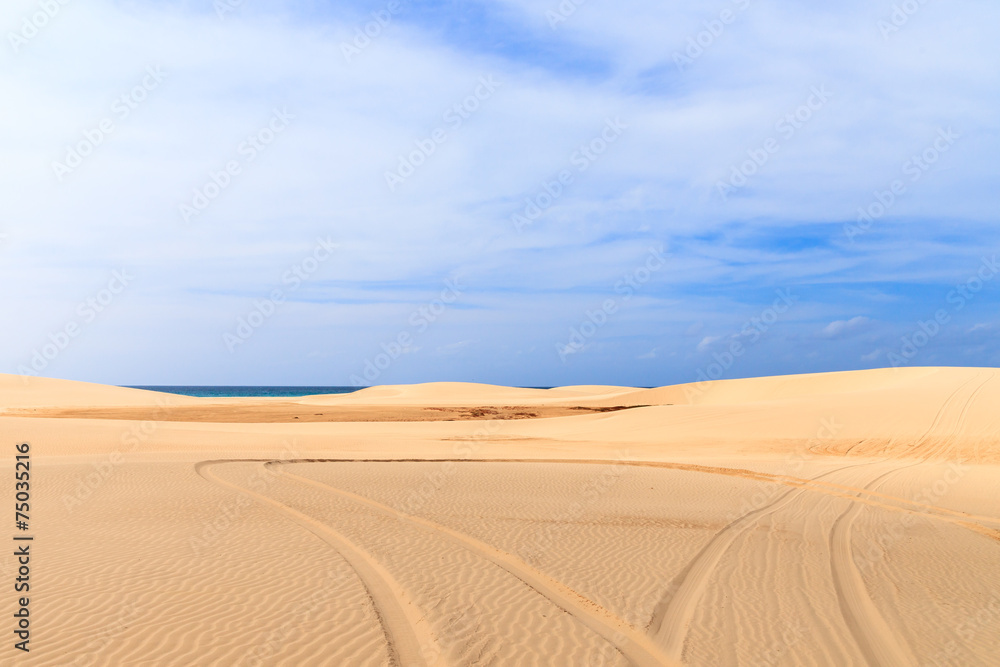 Car prints in sand, Boavista - Cape Verde Car prints in sand, Boavista - Cape Verde