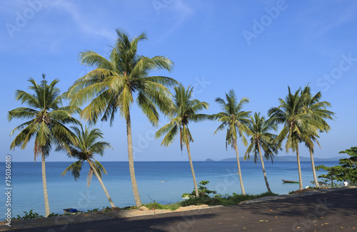 Palm trees in tropical beach © Hai791313