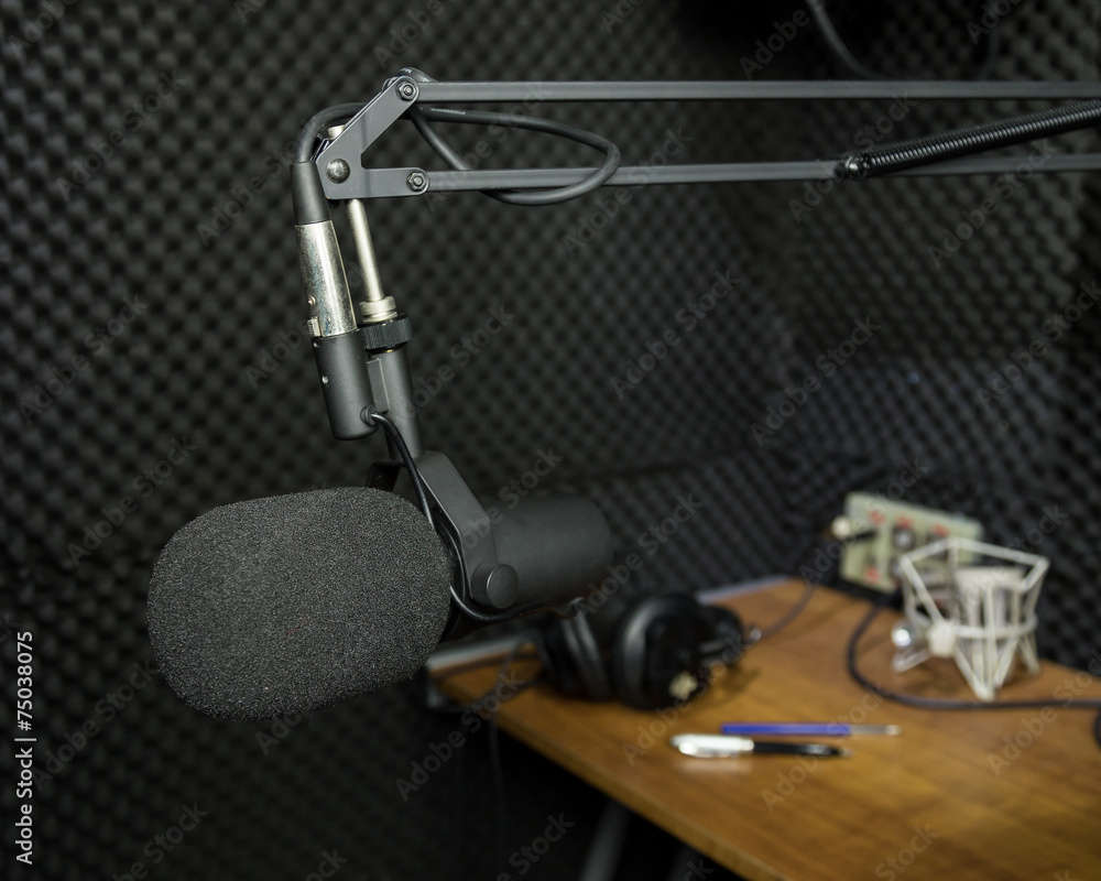 Dynamic microphone in recording studio Dynamic microphone in recording studio