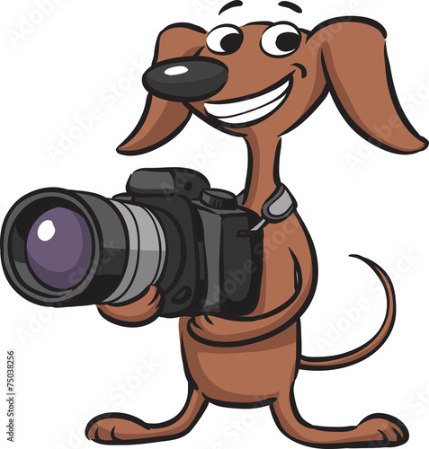 Dog photographer