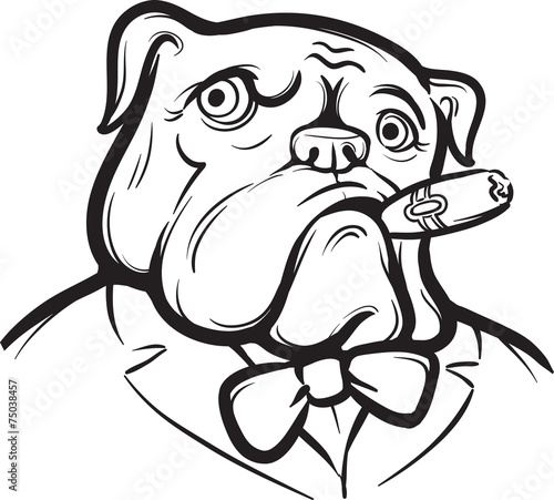 whiteboard drawing - Old English Bulldog with Cigar