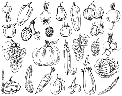 vegetables, fruits and berries