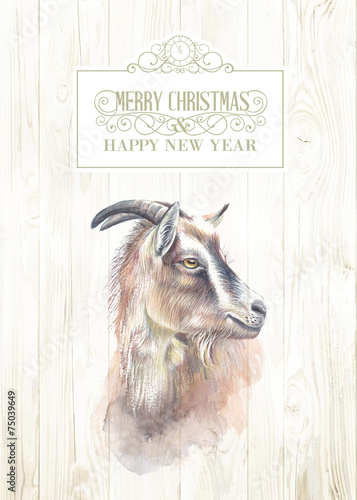 New year goat.