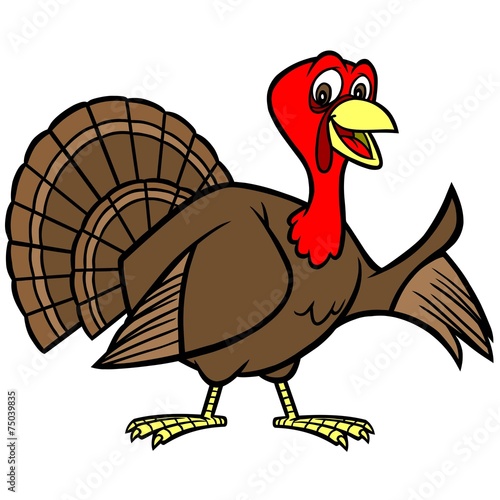 Thanksgiving Turkey