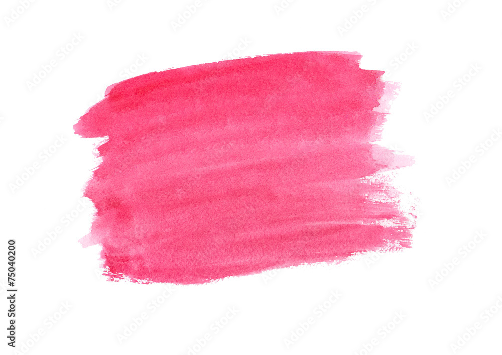 Fototapeta premium Watercolor pink isolated on white background. Vector illustration, Eps 10.