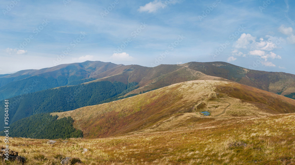 Summer landscape in Carpathian mountains