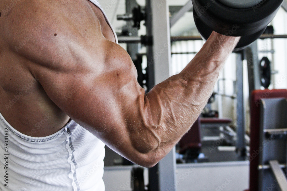 Biceps Biceps