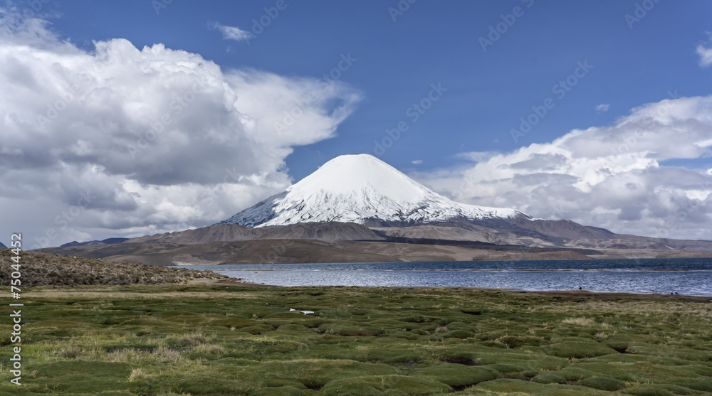 Fototapeta premium Parinacota Chungarà