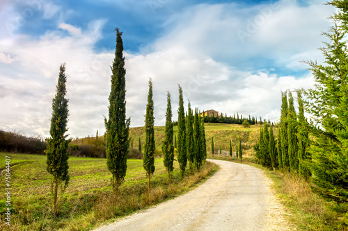 Typical landscape of Tuscany