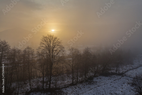 Dramatic Winter Landscape © Dmytro Kosmenko