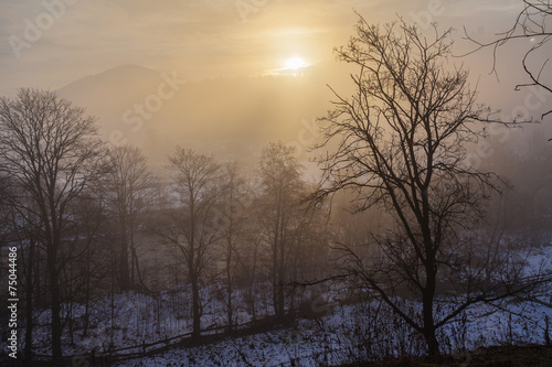 Dramatic Winter Landscape