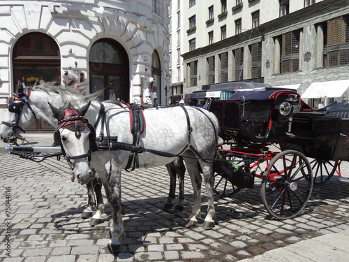 Calèche à Vienne, Autriche