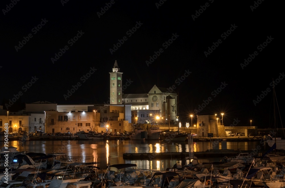 Trani cathedral in night sky from the marina