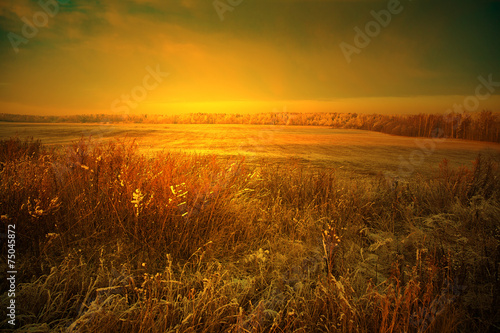 Field of dry grass in the foreground - landscape at sunset