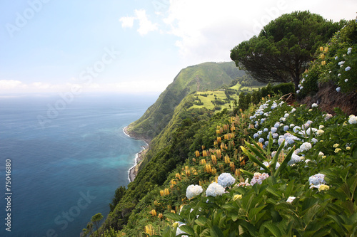 Açores - Sao Miguel - hortentias de Sossego photo