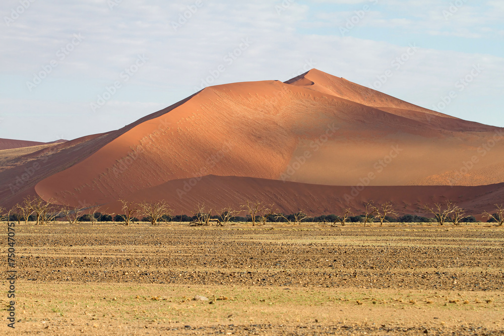 Sossuavlei park, Namibia