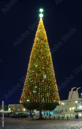 .A large Christmas tree