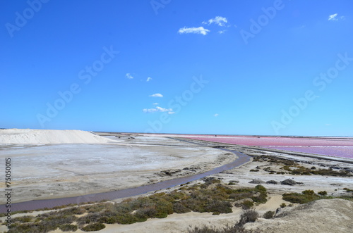 Marais salants  saliniers  Aigues Mortes Camargue 