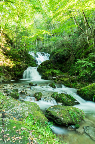 Fototapeta Naklejka Na Ścianę i Meble -  Mountain stream of Shimotaki