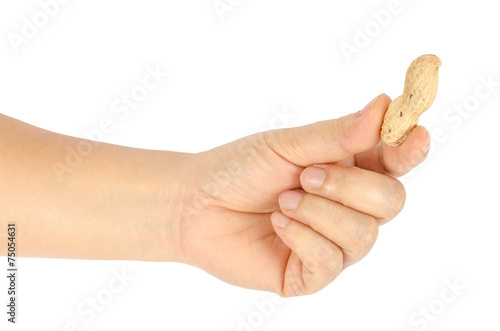 Peanuts