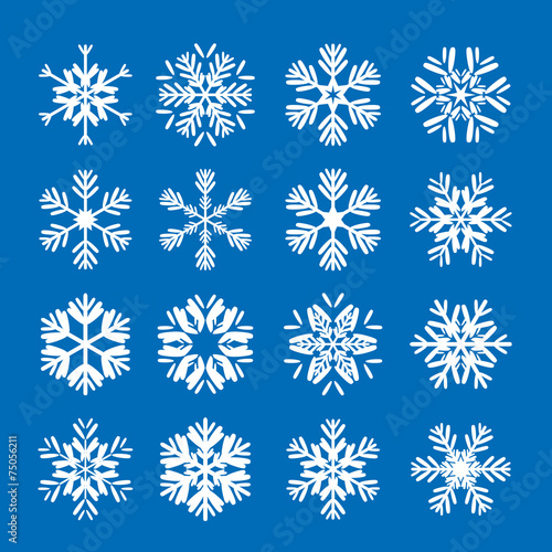 Set of white snowflakes
