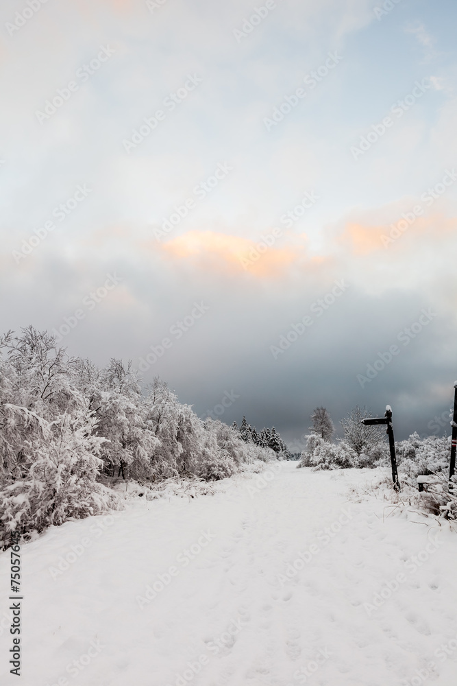 Obraz premium Hoge venen in snow