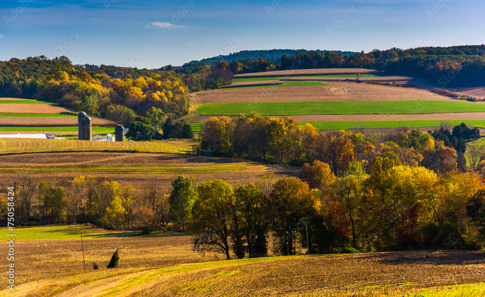 Fototapeta premium Jesienny widok wzgórz w wiejskich hrabstwie York w stanie Pensylwania.