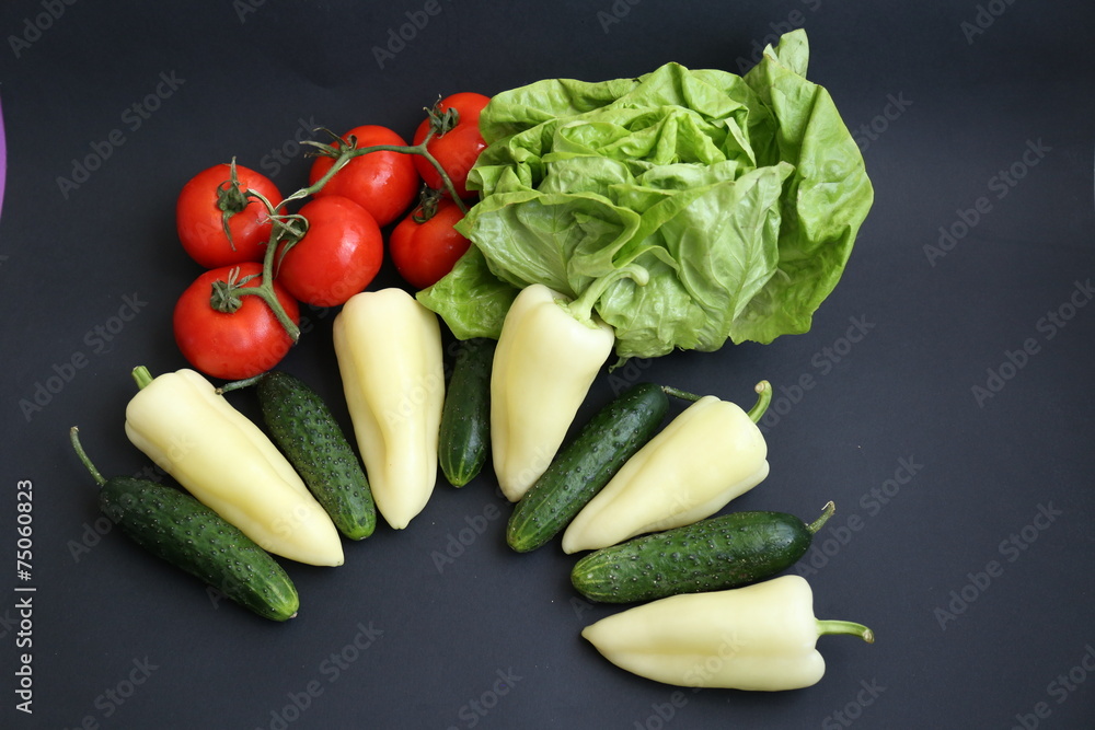 Tomato - Pepper - Cucumber - Lettuce