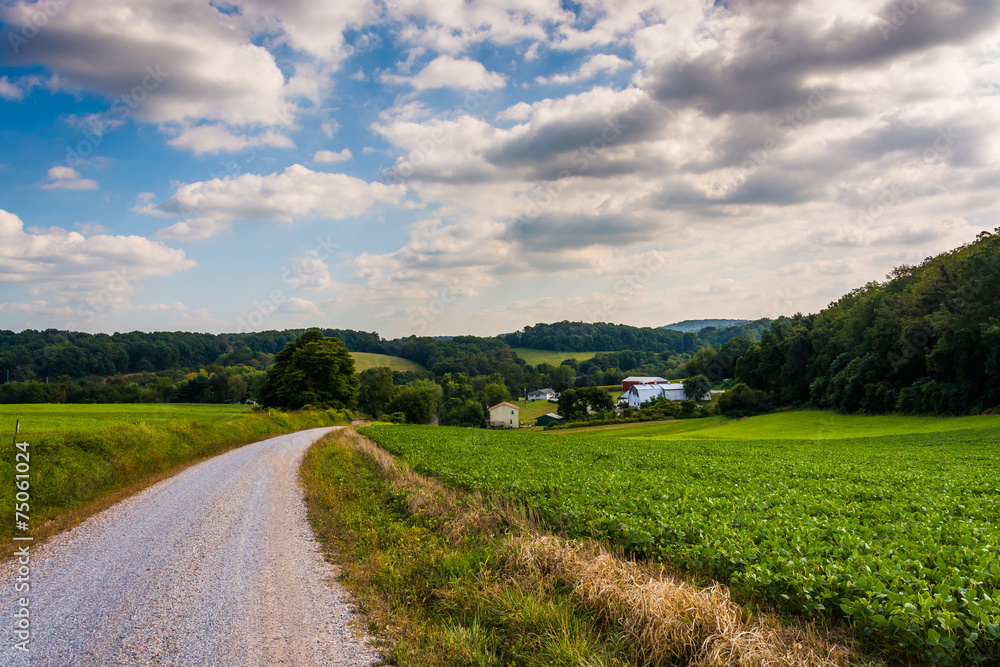 Cloudy sky over a dirt road and farm fields in rural York County Cloudy sky over a dirt road and farm fields in rural York County