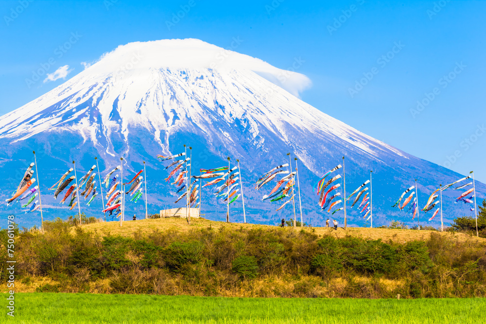 Fototapeta premium Colorful carp banners and Mount Fuji