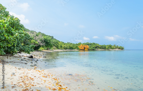 Tropical beach rock shore, Thailand photo