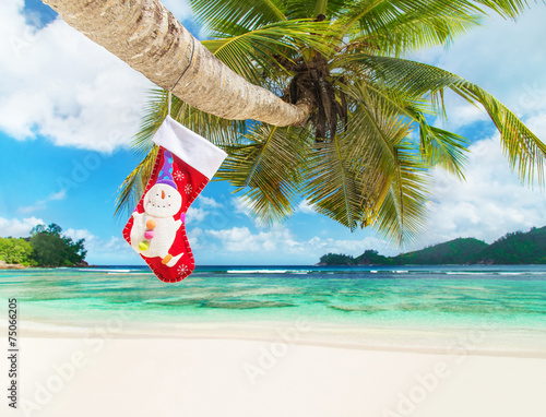 Christmas sock on palm tree at exotic tropical beach