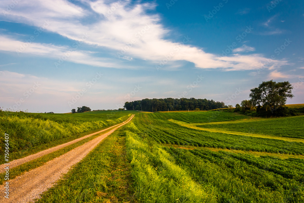 Dirt road and farm fields in rural York County, Pennsylvania.