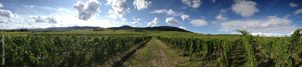 Weinberg Weinberg