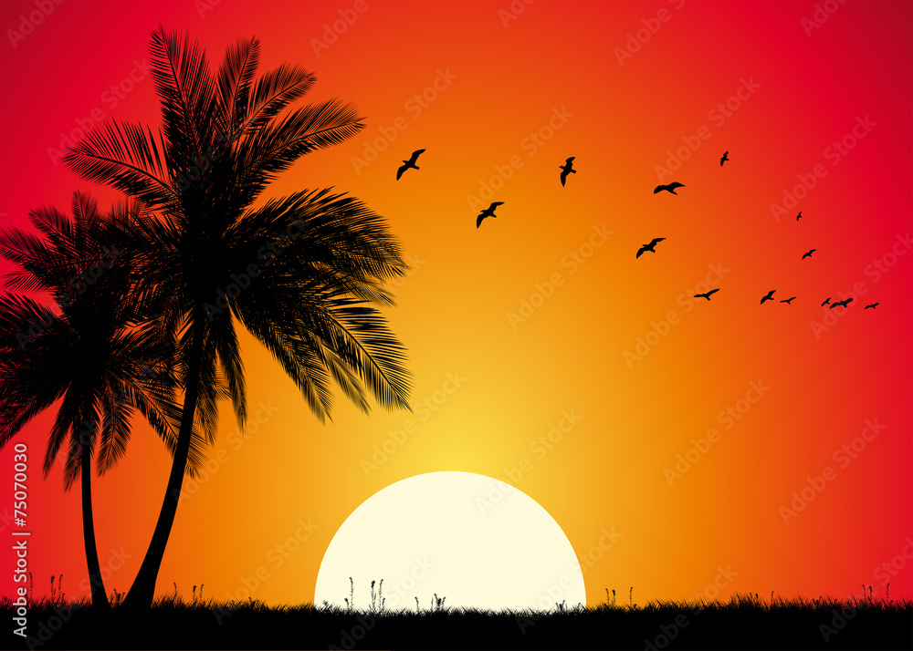Obraz premium Tropical Sunset With Palms