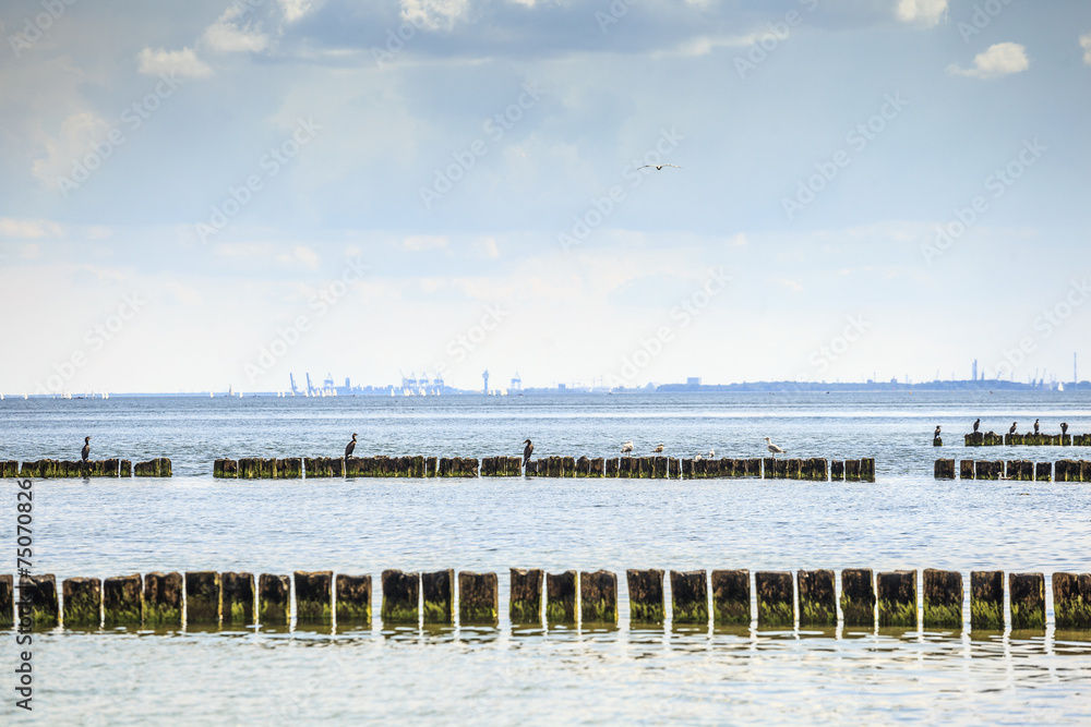 Fototapeta premium Gdansk Harbor skyline and sea birds