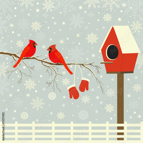 Red birds on branch with snow and birdhouse